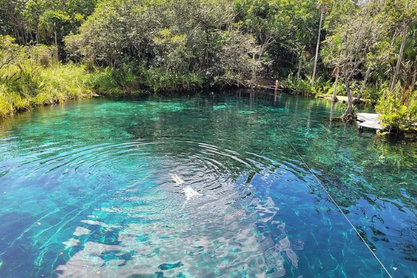 Cenote Corazón Tulum — 7 min walk