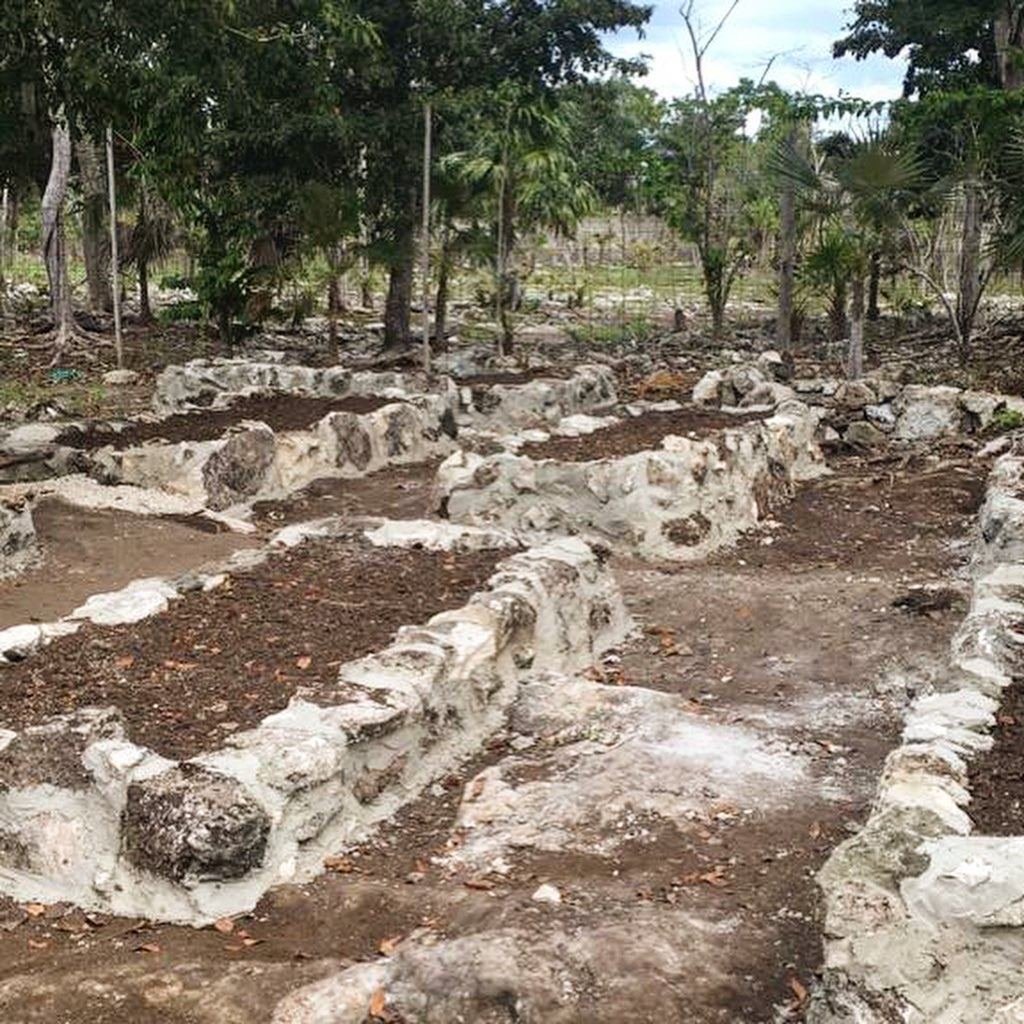Bare stone-bordered garden beds at Rancho Verde Tulum, before planting