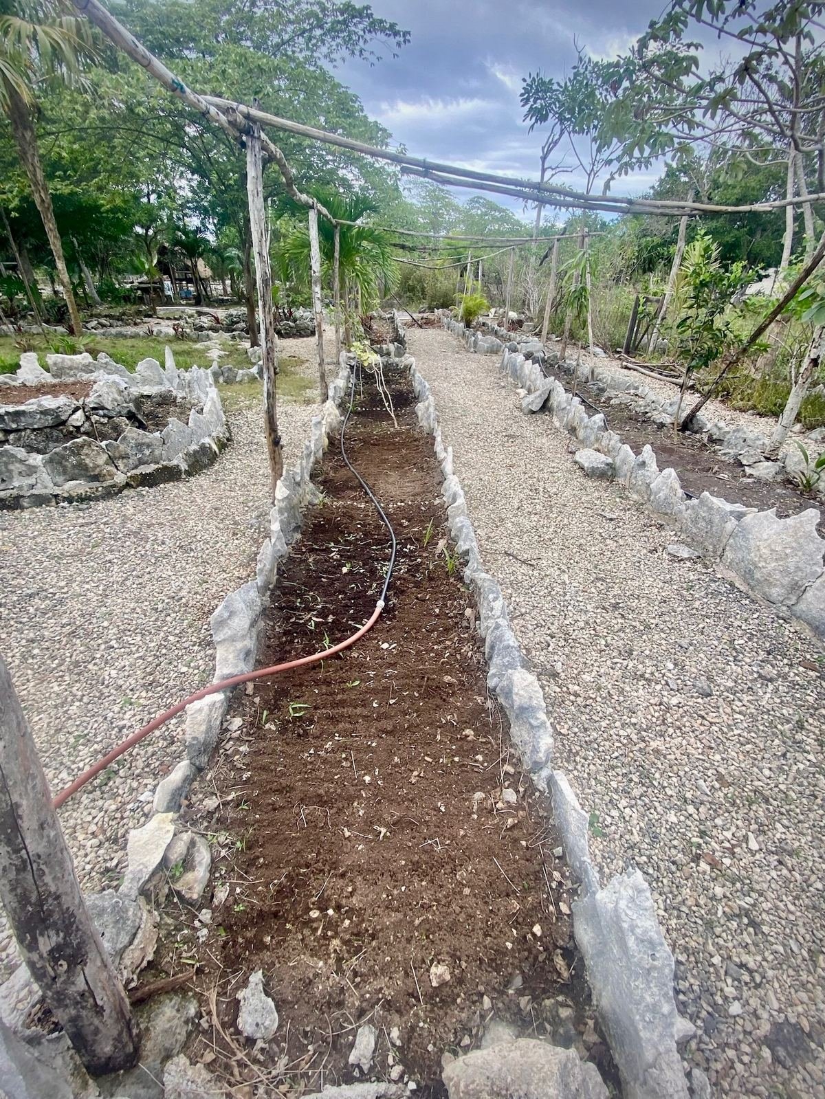 Raised garden beds with drip irrigation at Rancho Verde Tulum