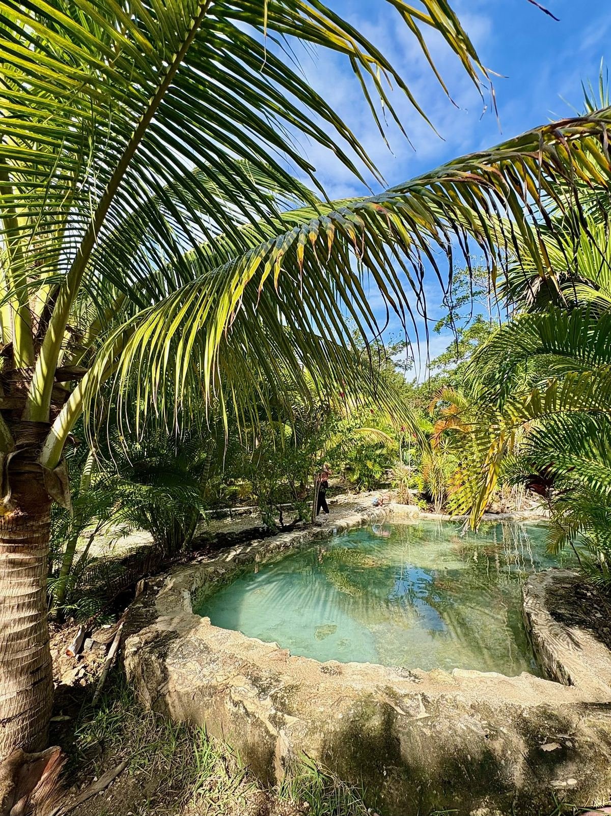 Natural stone plunge pool in the jungle at Rancho Verde Tulum