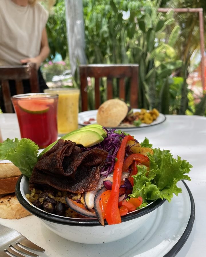 Vegan bowl with fresh salad at Liefs Tulum