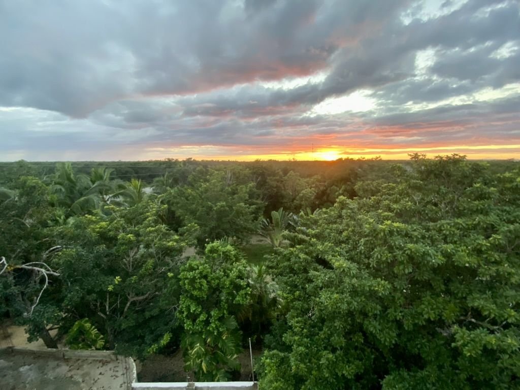 Sunset over the jungle treetops at Rancho Verde Tulum